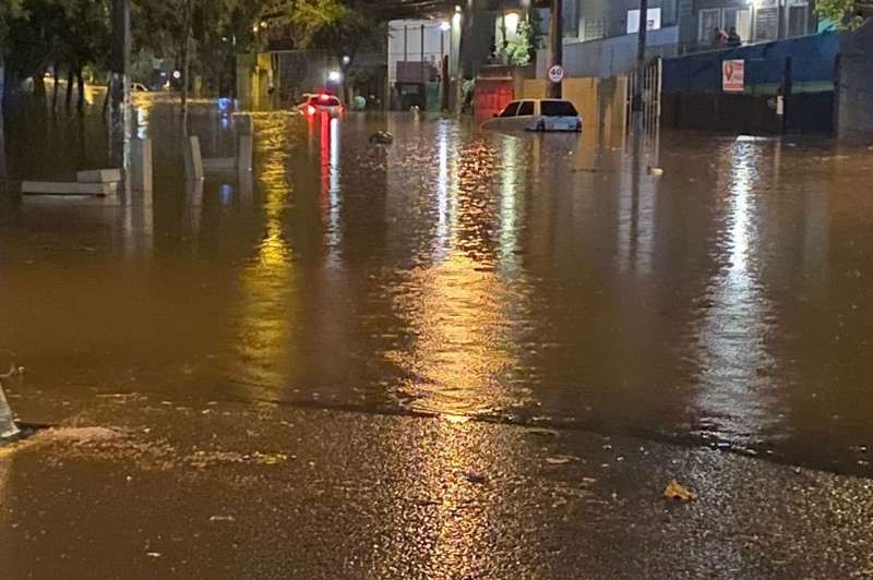 Temporal Rajadas De Vento De Km H Derruba Rvores Em