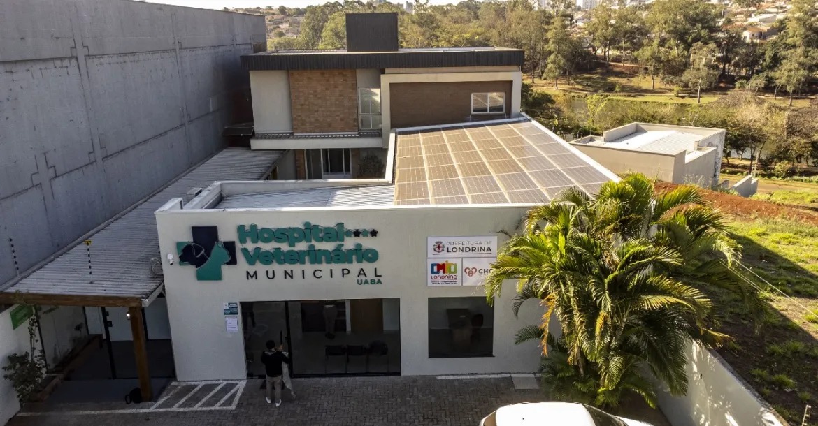 Hospital Veterinário de Londrina já soma mais de 3 mil consultas - CBN ...